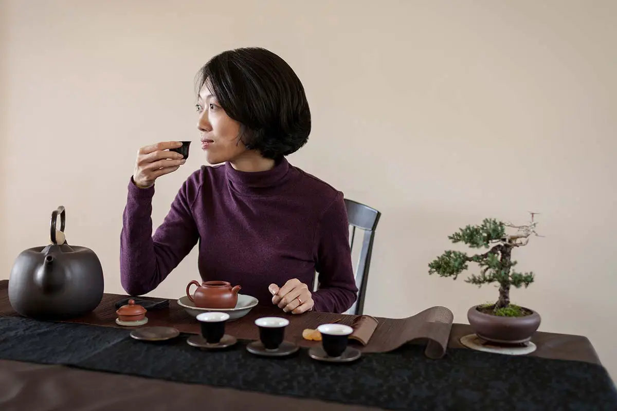 How To Take Care Of A Bonsai Tree Indoors?