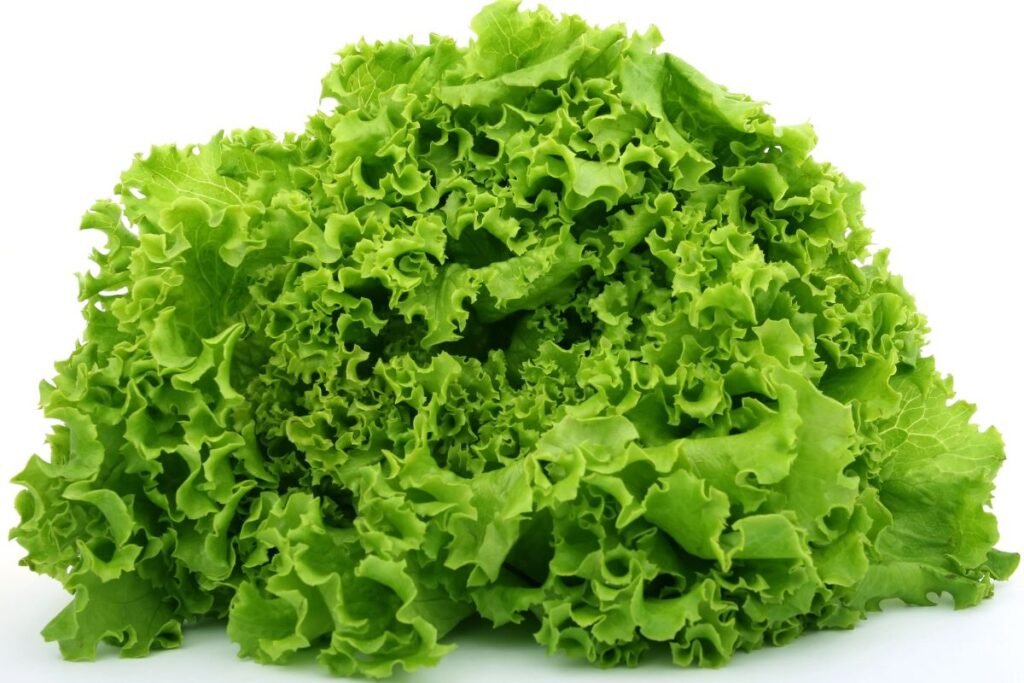 How to Cut Romaine Lettuce for Salad