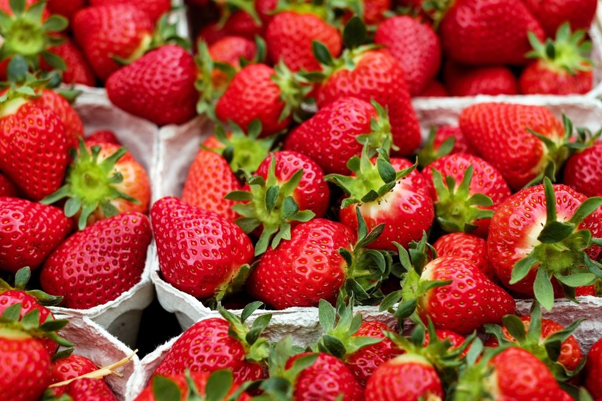 How to Freeze Dry Strawberries: DIY Easy Guide!