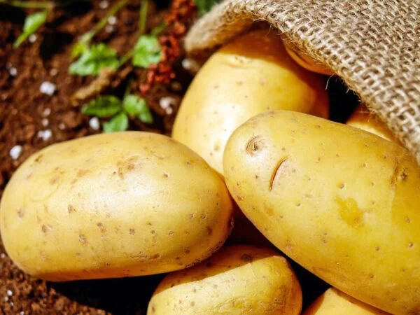 Why Are Potatoes So Expensive? | Impact on U.S. Potato Industry