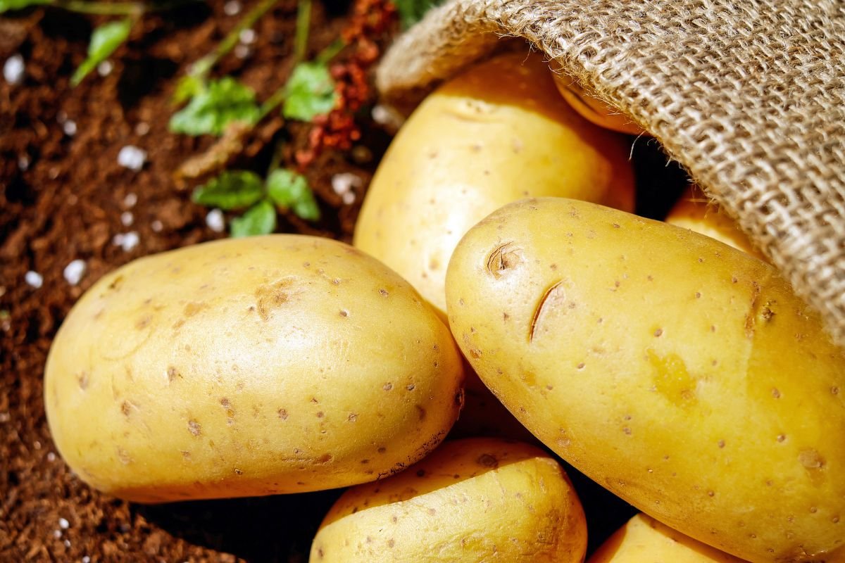 Why Are Potatoes So Expensive? | Impact on U.S. Potato Industry
