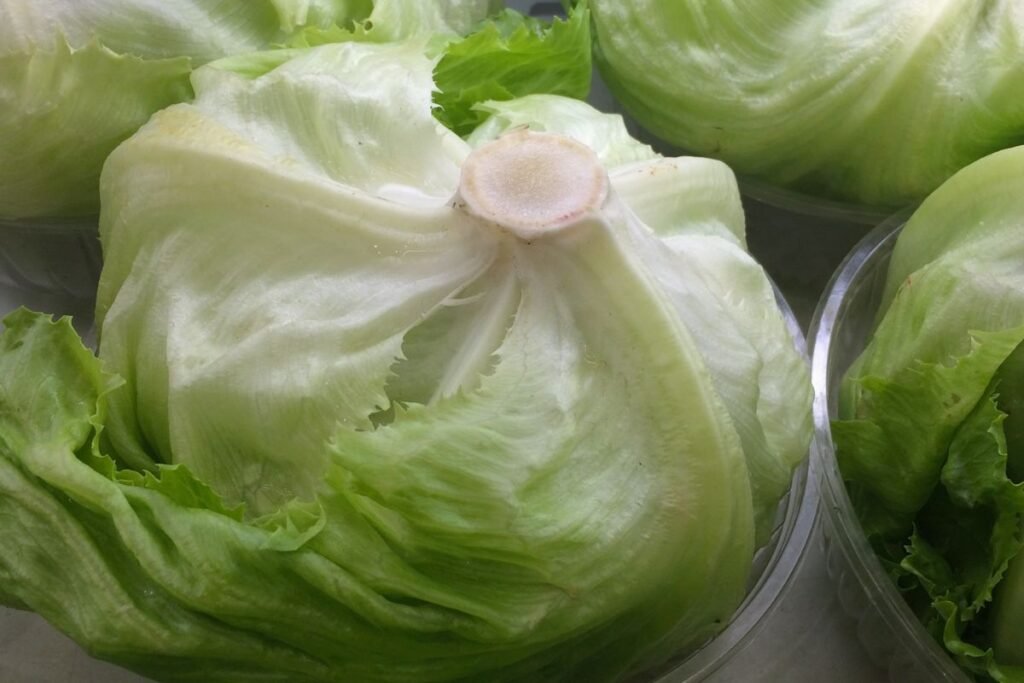 Can You Freeze Romaine Lettuce