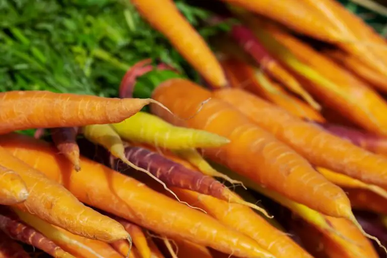 How To Convert Carrots To Pounds A Handy Conversion Chart