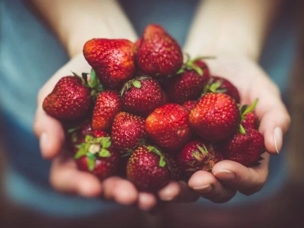 How Much Does a Quart of Strawberries Weigh? Find Out Now!