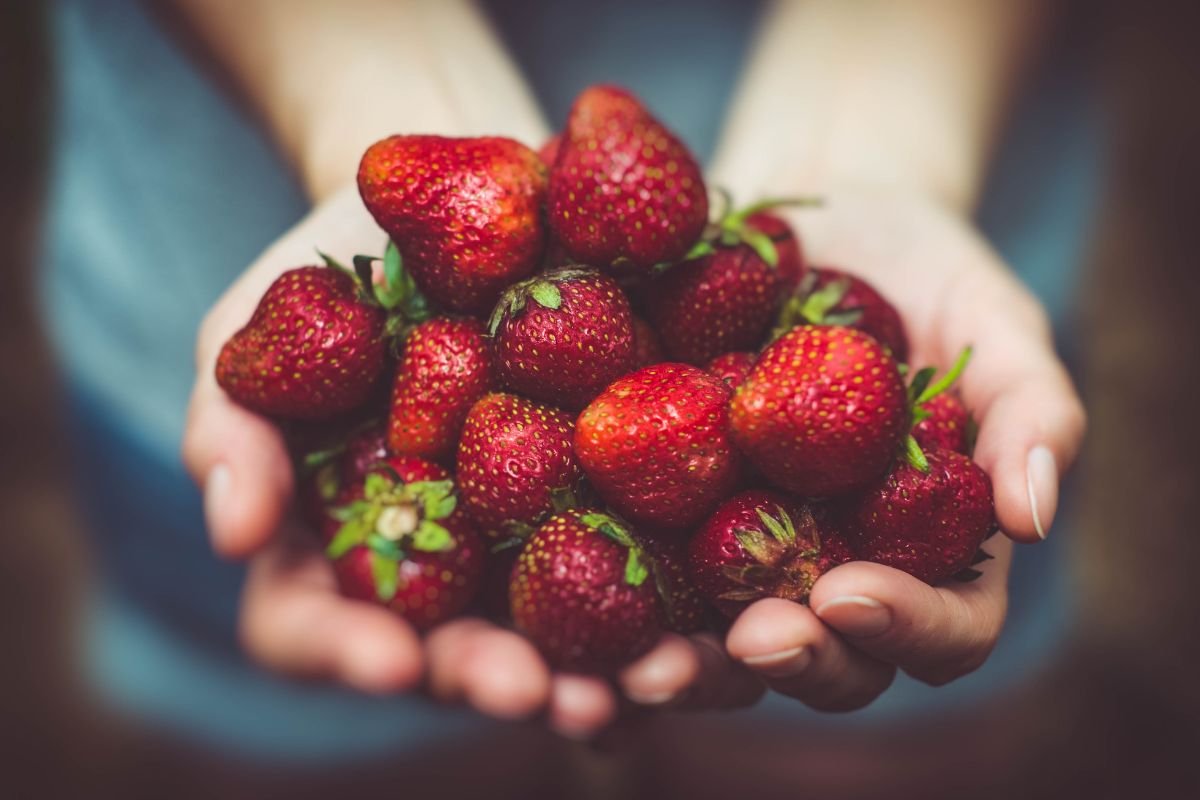 How Much Does a Quart of Strawberries Weigh? Find Out Now!