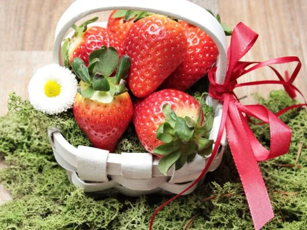 How Much Sunlight Do Strawberries Need? Tips for Optimal Growth