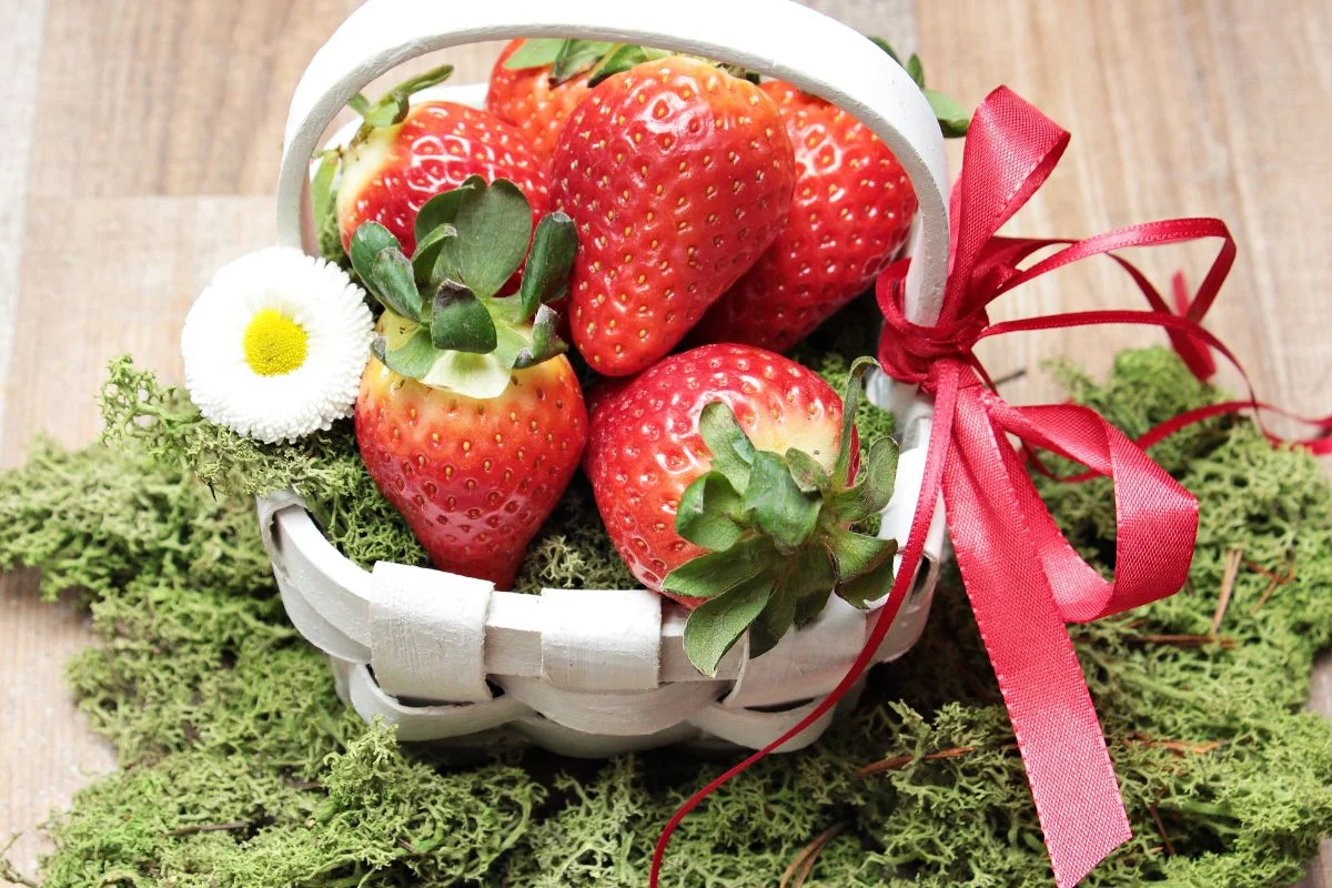 How Much Sunlight Do Strawberries Need? Tips for Optimal Growth