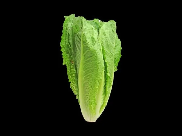 How to Cut Romaine Lettuce: Quick and Easy Steps