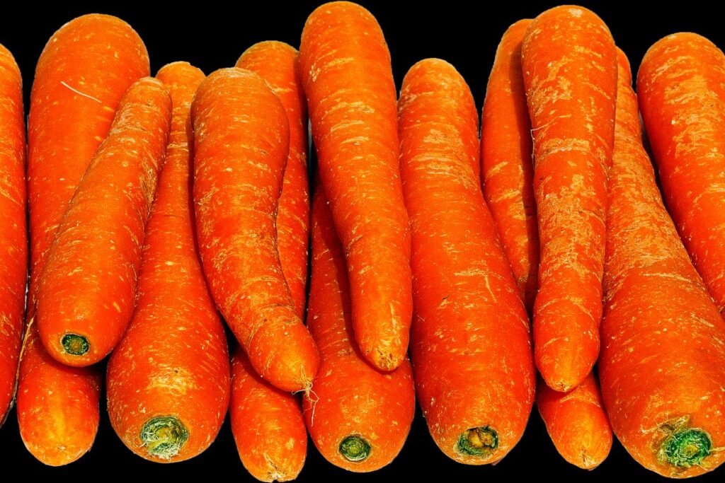 When do carrots go bad