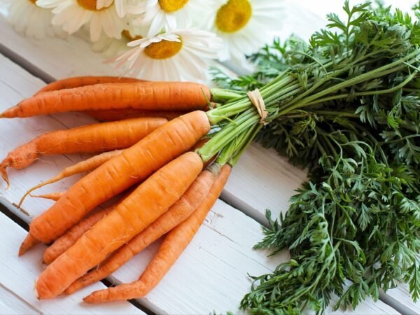 When to Harvest Carrots: Your Guide to Fresh and Tasty Picks
