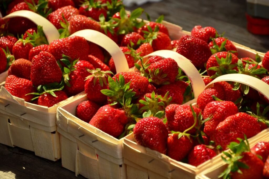 When is the Strawberry Festival in Plant City