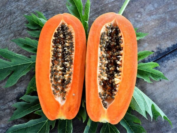 How to Grow Papaya from Seed: A Step-by-Step Guide