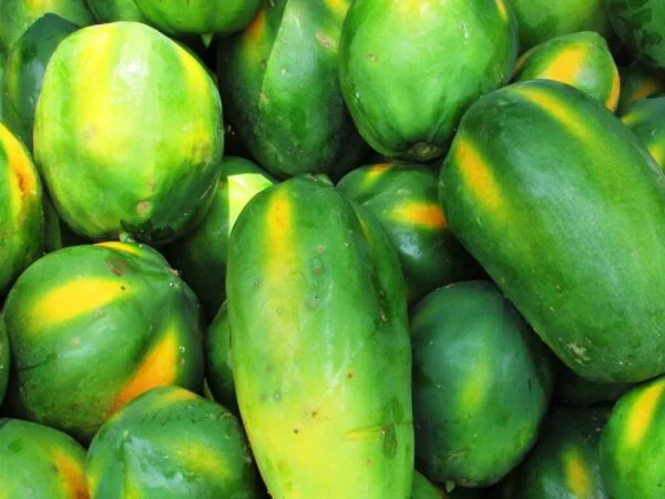 How to Store Papaya: 3 Easy Methods