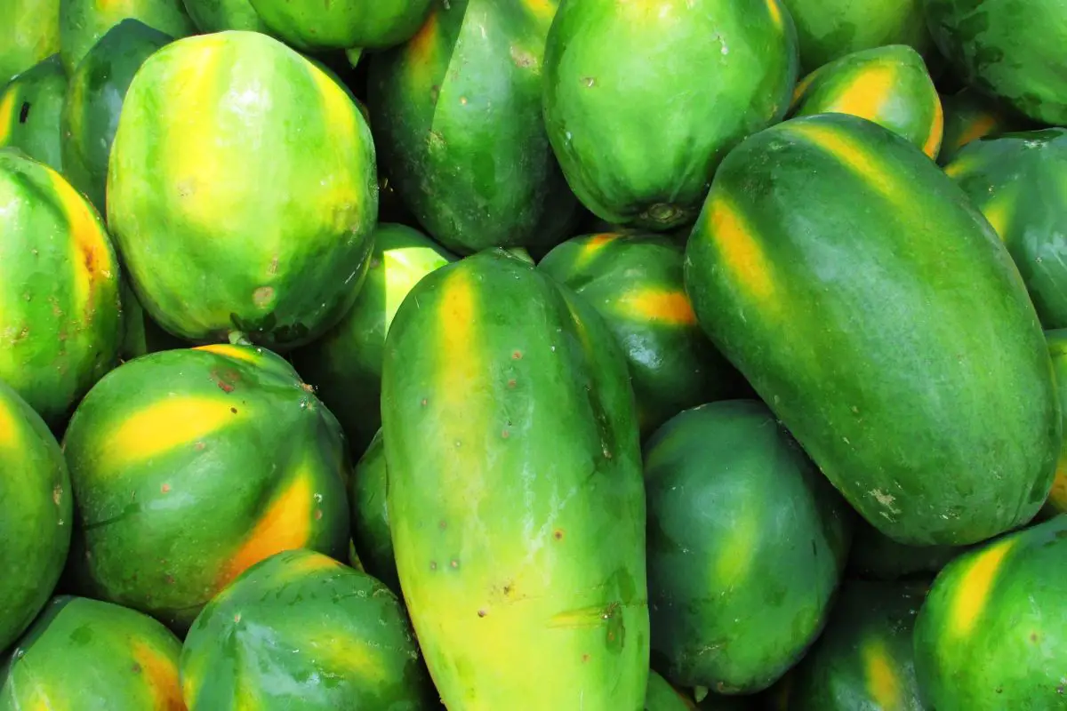 How to Store Papaya: 3 Easy Methods