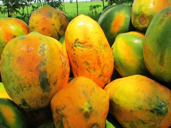 How to Tell When a Papaya Is Ripe - Expert Tips