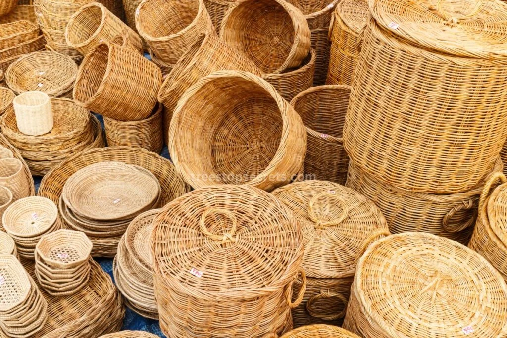 Bamboo for Household Use