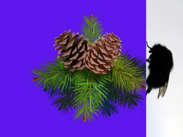 Can You Be Allergic to Pine Trees? Causes, Symptoms & Treatment