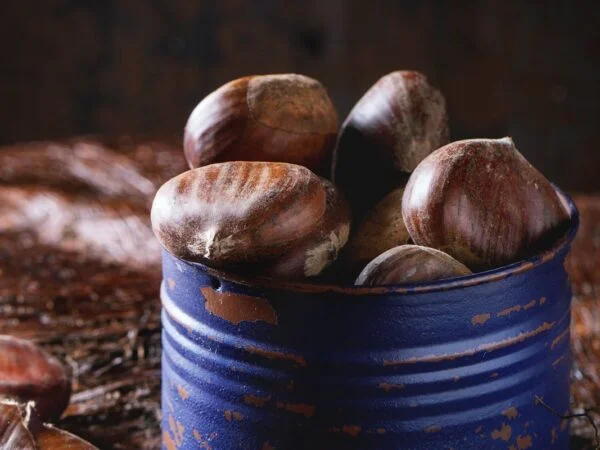 Can You Eat Raw Chestnuts: Safety, Nutrition, Tips