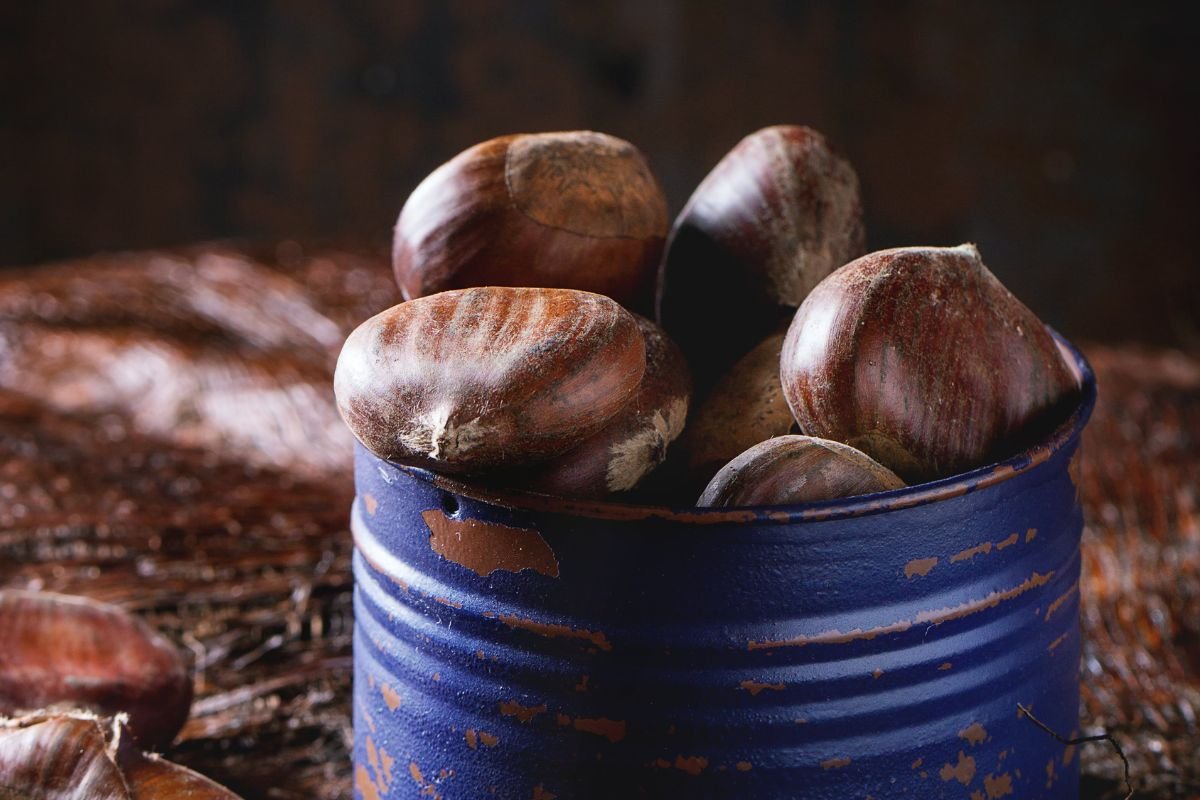 Can You Eat Raw Chestnuts: Safety, Nutrition, Tips