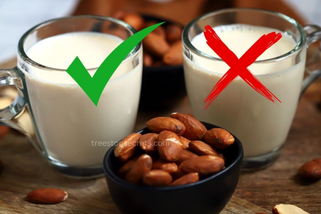 Choosing the Right Almond Milk