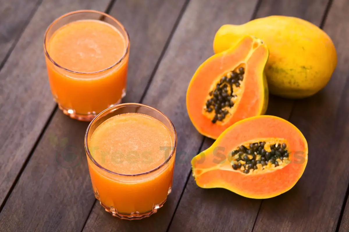 How to Prepare Papaya: Easy Step-by-Step Guide