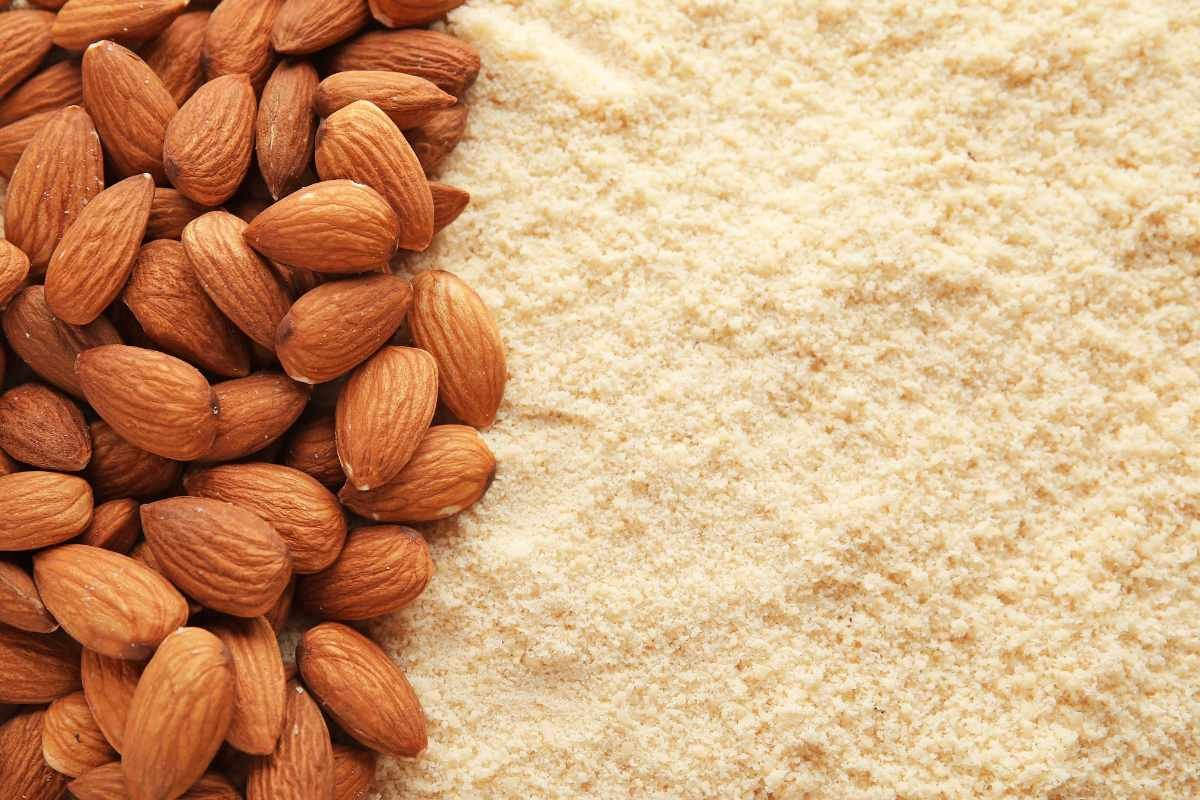 How Long Does Almond Flour Last? Shelf Life Guide