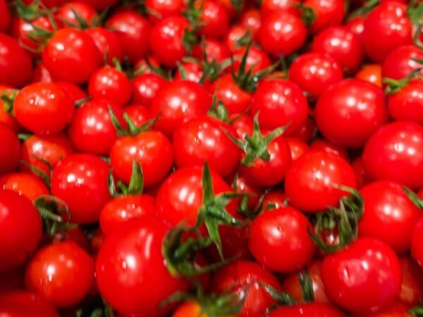 How Many Cherry Tomatoes in a Pound? Quick Quantity Guide