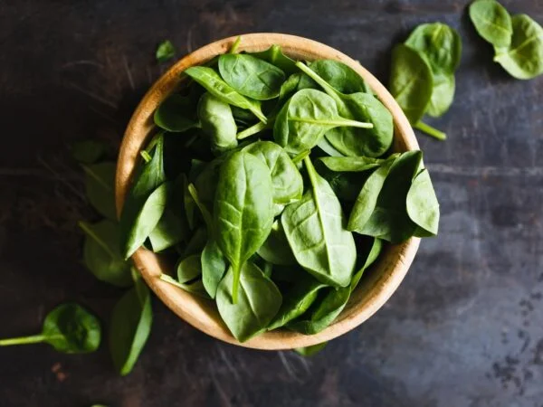 How to Preserve Basil Leaves: Best Tips and Hacks