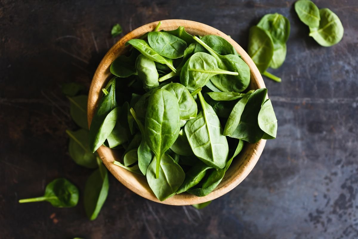 How to Preserve Basil Leaves: Best Tips and Hacks