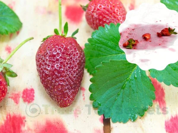 How to Remove Strawberry Stains: Quick Tips!