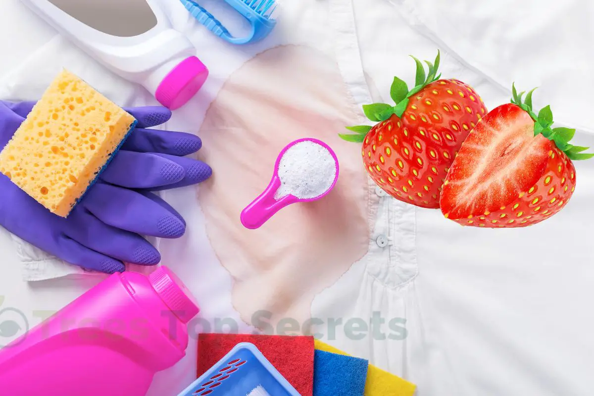 How To Remove Strawberry Stains Quick Tips!