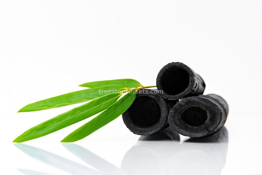 Medicinal Properties of Bamboo