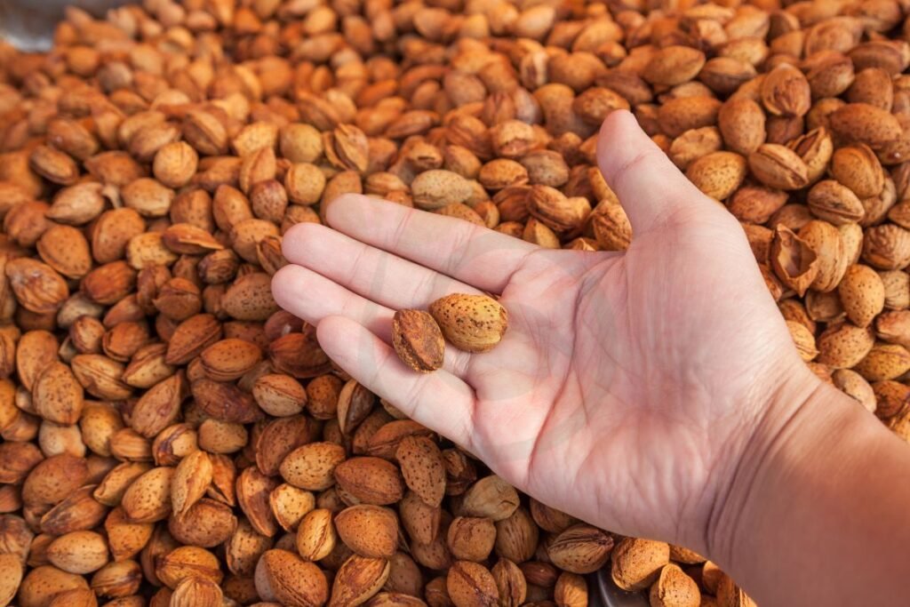 Recognizing Freshness of almonds