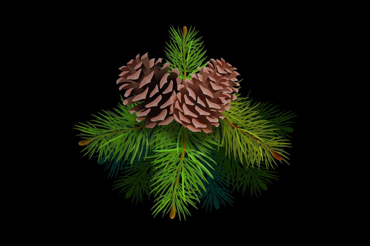 What Do Pine Trees Smell Like? Unveiling the Enchanting Aroma!