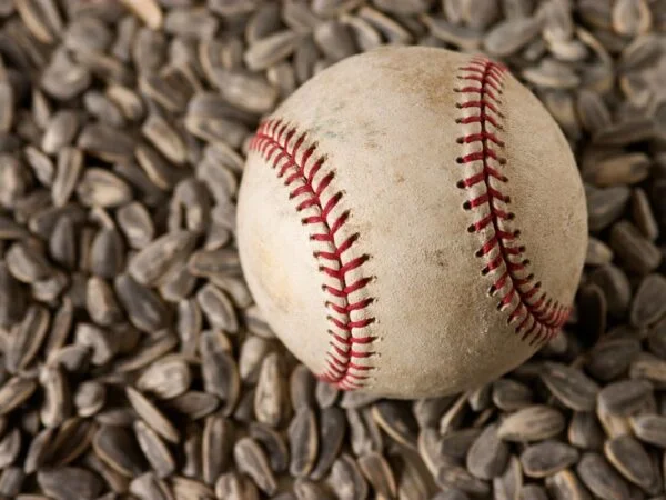 Why Do Baseball Players Eat Sunflower Seeds: The Ultimate Snack