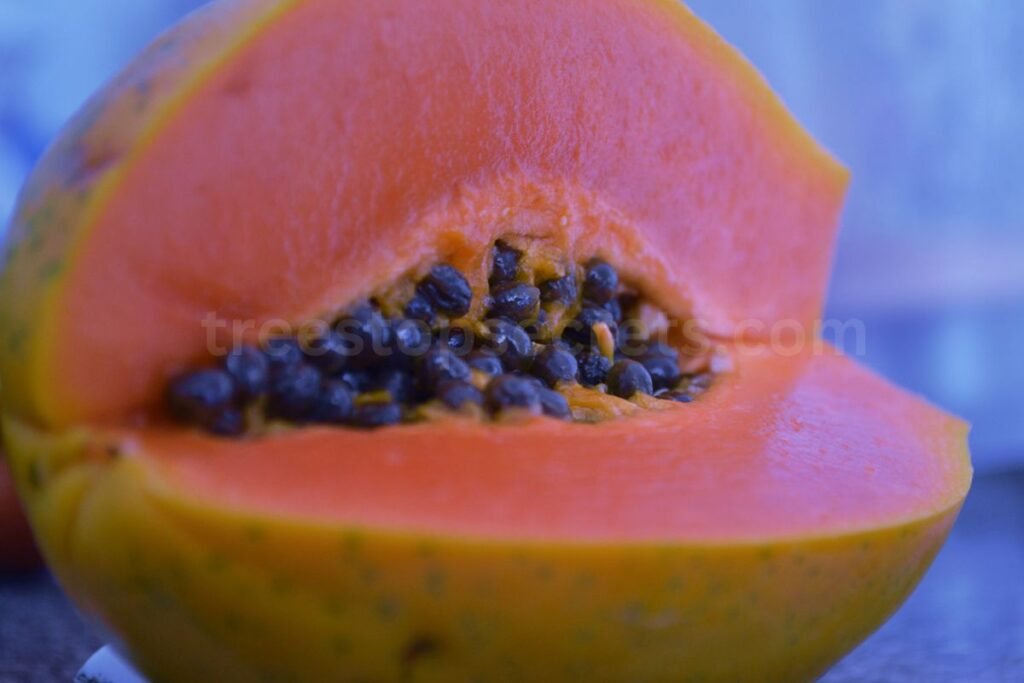 how to prepare papaya seeds 1