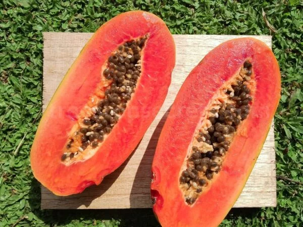 When to Cut a Papaya: Your Guide to Optimal Ripeness Mastery
