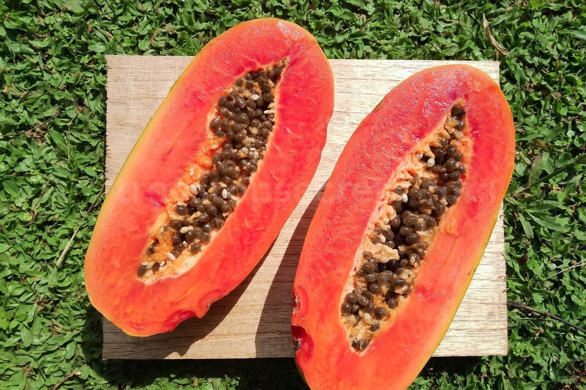 When to Cut a Papaya: Your Guide to Optimal Ripeness Mastery