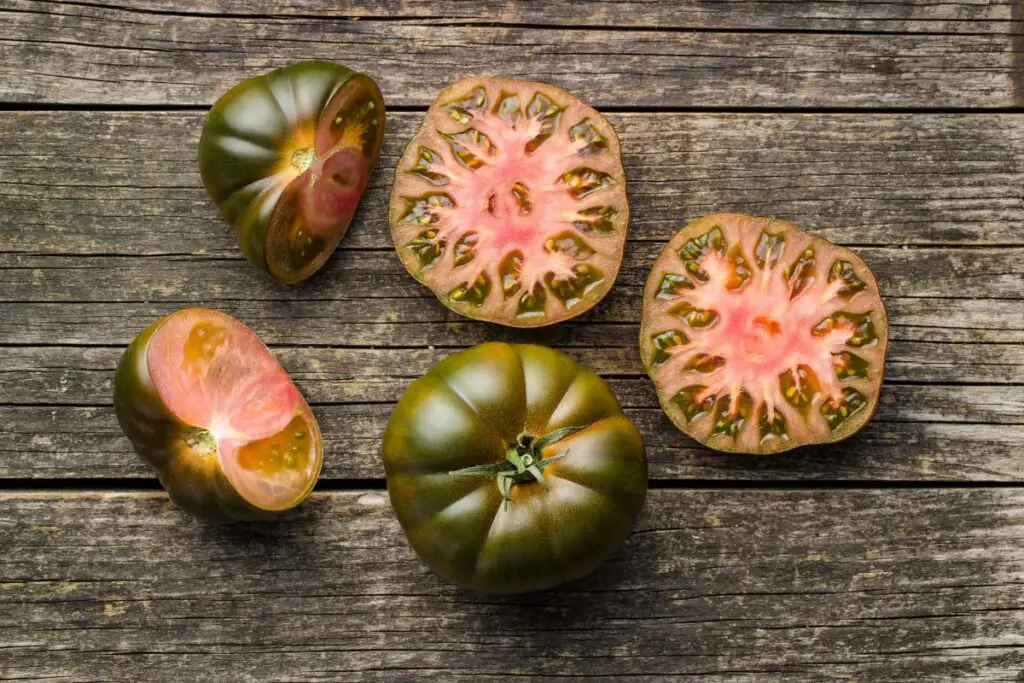 Boosting Stem Thickness in Tomato Plants