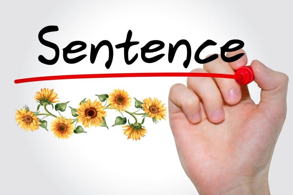 Crafting Sentences with 'Sunflower'