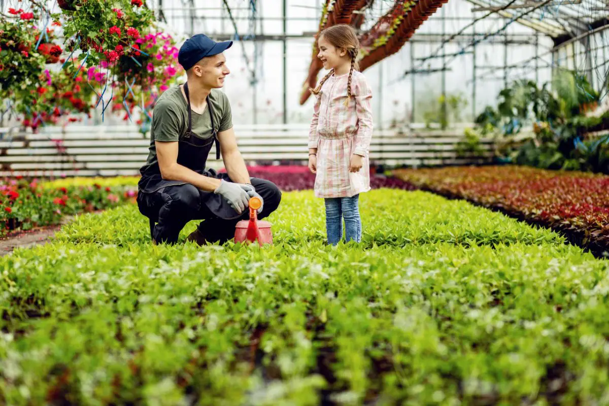 How Close Can You Plant Tomatoes? Expert Tips for Maximum Yield