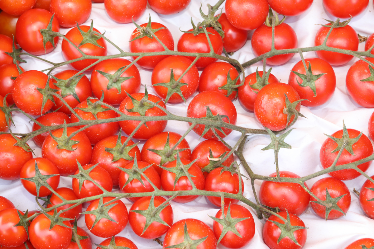 How Many Calories in 10 Grape Tomatoes? Nutrition Facts!