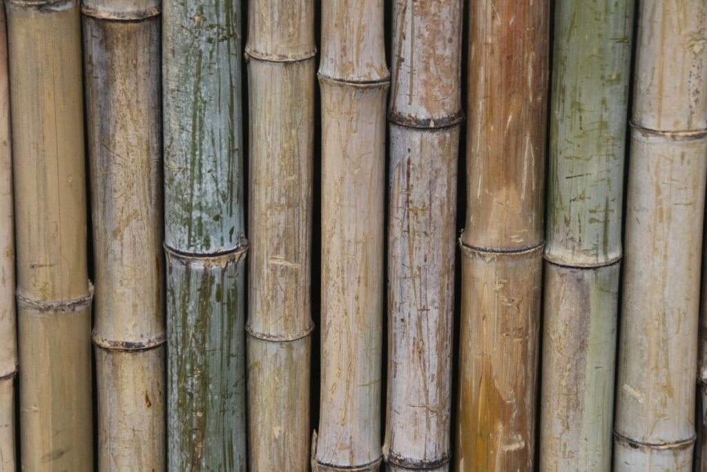 How to Make a Bamboo Fence