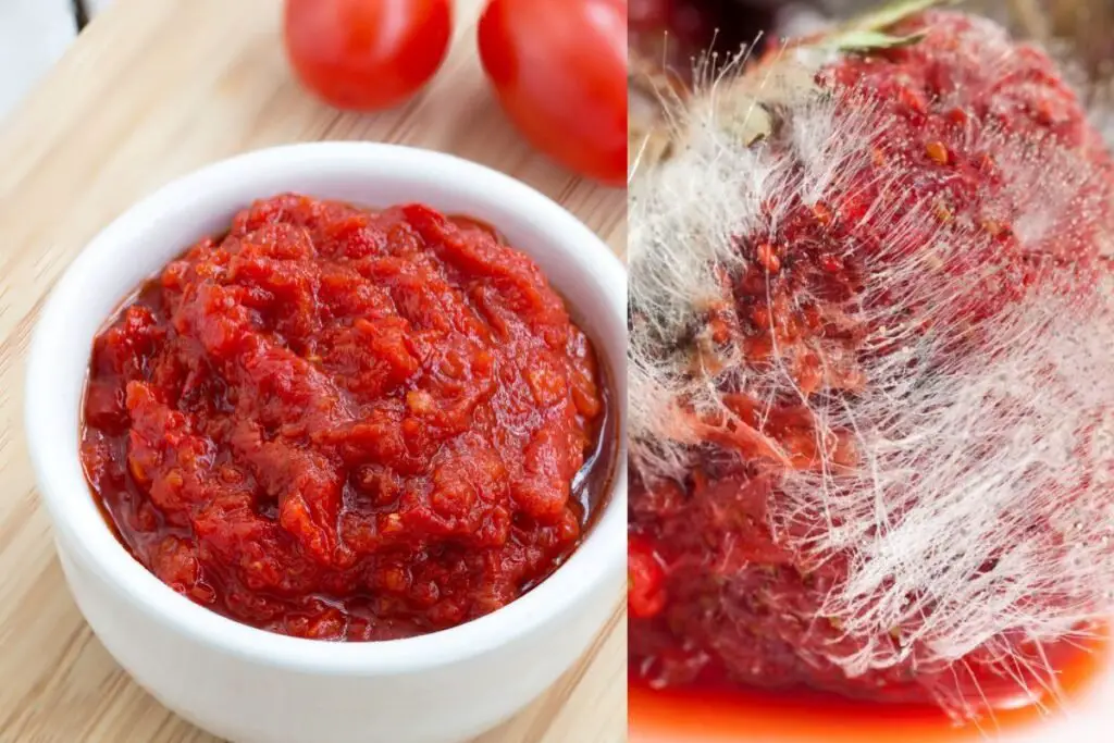 Signs of Spoilage in Tomato Paste