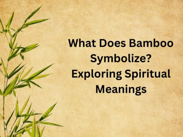 What Does Bamboo Symbolize? Exploring Spiritual Meanings