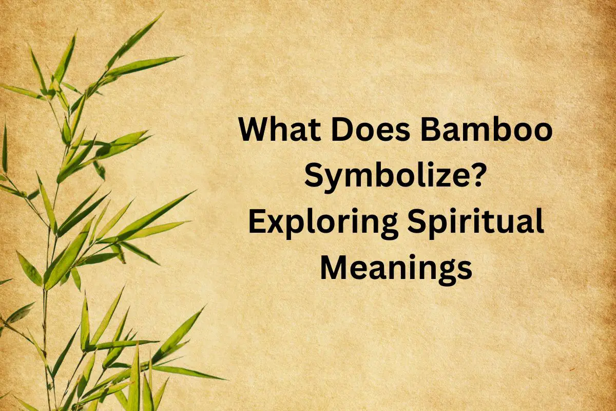 What Does Bamboo Symbolize? Exploring Spiritual Meanings