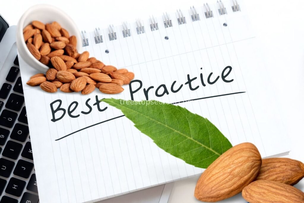 Best Practices for Almond Consumption