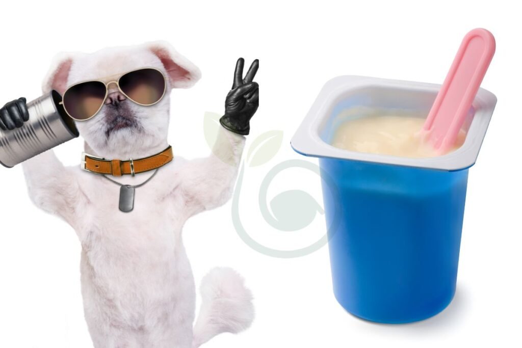 Can Dogs Consume Yogurt
