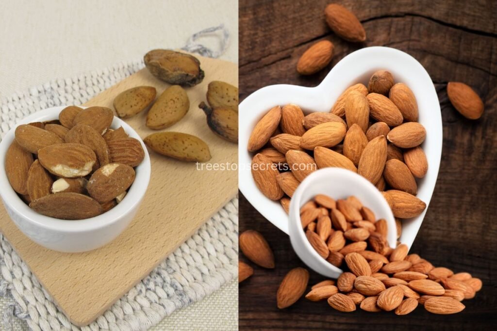 Comparing Raw and Toasted Almonds