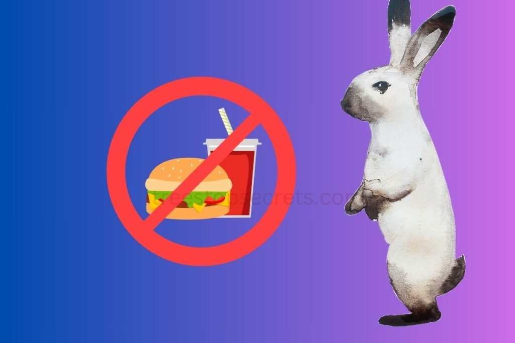 Foods to Avoid as Rabbit Foods